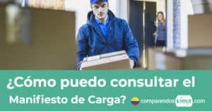 consultar manifiesto de carga