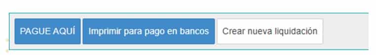 botones de pago de liquidación de impuesto vehicular